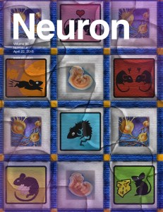 NEURON_86_2.c1.indd
