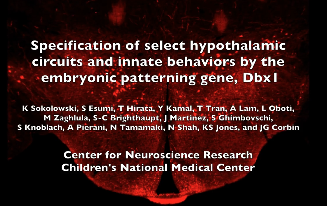 screen-shot-2016-10-28-at-1-49-20-pm