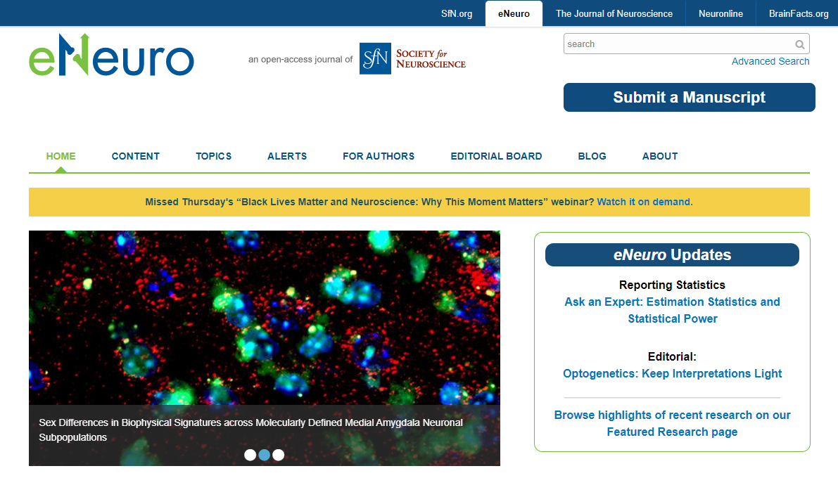 eNeuro Publication ScreenShot